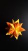 DSC00166c.jpg