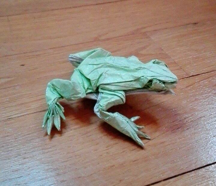 Tree Frog, Satoshi Kamiya

