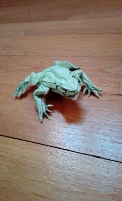 Tree Frog, Satoshi Kamiya
