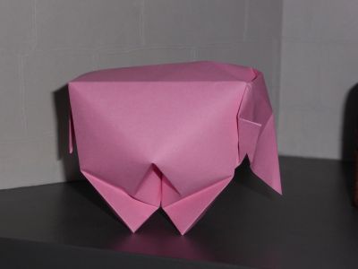 Elephant
by Jorge Concha
