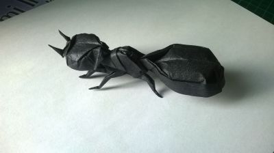 Ant, Robert J. Lang
