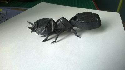 Ant, Robert J. Lang
