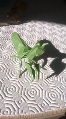 Praying Mantis, Robert J. Lang
