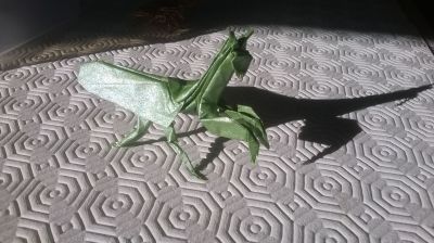 Praying Mantis, Robert J. Lang
