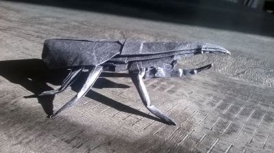 Hercule Beetle, Robert J. Lang
