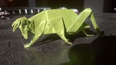 Grasshopper, Robert J. Lang
