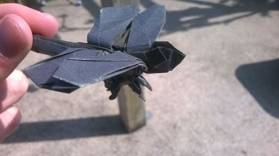 Dragonfly, Robert J. Lang
