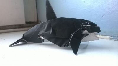 Orque, Satoshi Kamiya
