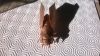 WP_20170417_005.jpg