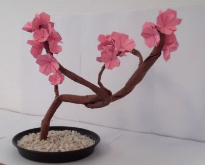 Sakura bonsaï
Mots-clés: origami, cerisier, sakura, bonsaï