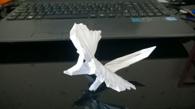 Phénix Hongyi Wan
Troisième testfold en papier machine (environ 21 cm...)
Il faut un papier plus fin et plus grand pour les détails (des pattes, notamment), et je dois m'améliorer sur les ailes, mais l'idée générale est là.
