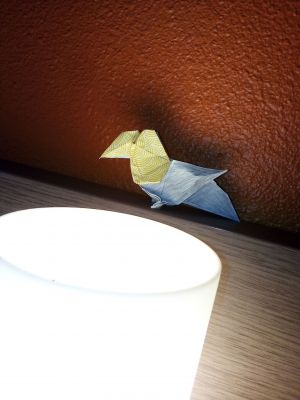IMG_20190212_205133.jpg