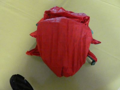 P1000344-min.JPG