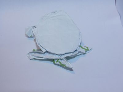 P1000433-min.JPG