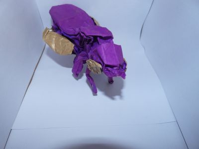 P1000457-min.JPG