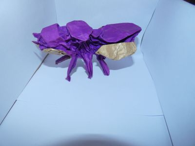 P1000463-min.JPG