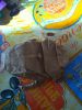 Nom du fichier=IMG_20171028_145112.jpg
Taille du fichier=329Ko
Dimensions : 1536x2048
Ajouté le : 23 Octobre 2018 IMG_20171028_145112.jpg