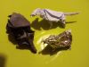 Nom du fichier=IMG_20190209_194244.jpg
Taille du fichier=245Ko
Dimensions : 2048x1536
Ajouté le : 09 Février 2019 IMG_20190209_194244.jpg