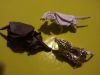 Nom du fichier=IMG_20190209_194257.jpg
Taille du fichier=266Ko
Dimensions : 2048x1536
Ajouté le : 09 Février 2019 IMG_20190209_194257.jpg
