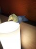 IMG_20190212_205148.jpg