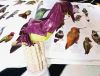 Nom du fichier=IMG_20190324_125330.jpg
Taille du fichier=403Ko
Dimensions : 2830x2157
Ajouté le : 15 Avril 2019 IMG_20190324_125330.jpg