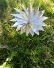 Nom du fichier=IMG_20190531_212936_610.jpg
Taille du fichier=3234Ko
Dimensions : 2448x3060
Ajouté le : 30 Novembre 2019 IMG_20190531_212936_610.jpg