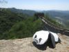 Nom du fichier=leilei-studio-china-chine-pekin-beijing-origami-great-wall-panda-black-white--grande-muraille-traversee.jpg
Taille du fichier=269Ko
Dimensions : 2048x1536
Ajouté le : 08 Juillet 2015 leilei-studio-china-chine-pekin-beijing-origami-great-wall-panda-black-white--grande-muraille-traversee.jpg
