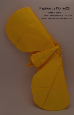 Papillon de Florian28 (Abeille)
