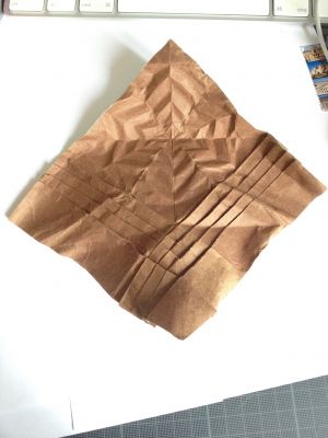 Bourgeon 
étape 1
