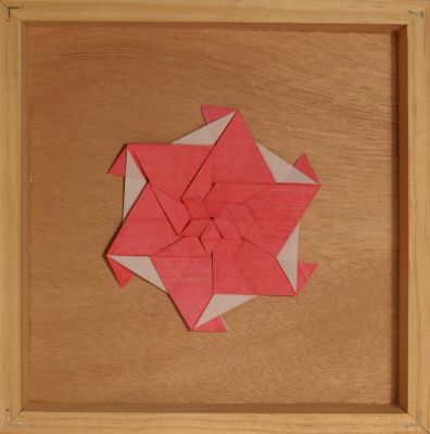 Cassiopeia Epsilon Shuriken

