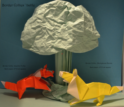 Collies (forum anglais)
