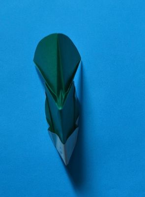 Défi "Circulaire" vs Merryclaude
Vu de haut
Mots-clés: cercle poisson défi peuplier disque rond circulaire