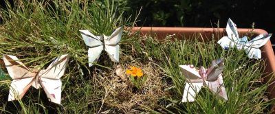 Euro Schmetterling 
