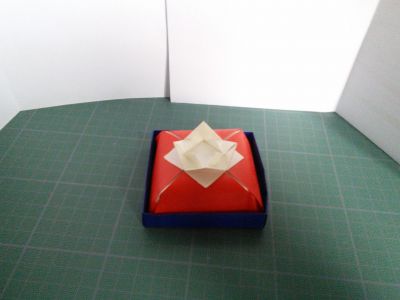 Plat à gâteau de Tomoko Fuse
