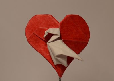 IOIO 2016
Coeur d'Andrey Lukyanov 
