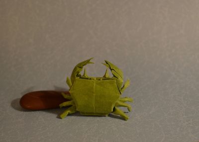 IOIO 2016
Crabe enragé de Pham Hoang Tuan
