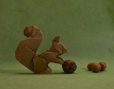IOIO 2016
Ecureuil de Sergey Yartsev
