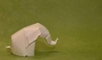 IOIO 2016 
Éléphant de Beth Johnson

