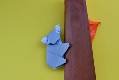 Koala détail
Janvier 2020
