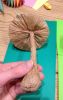 CRIMP_23-01-2016_-_4.jpg