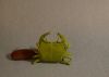 Nom du fichier=IOIO_-2016_-_Crabe_-_1.jpg
Taille du fichier=419Ko
Dimensions : 1939x1387
Ajouté le : 17 Novembre 2016 IOIO_-2016_-_Crabe_-_1.jpg
