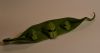 Nom du fichier=IOIO_-2016_-_Petit_pois_-_1.jpg
Taille du fichier=281Ko
Dimensions : 1973x1051
Ajouté le : 16 Novembre 2016 IOIO_-2016_-_Petit_pois_-_1.jpg