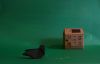 Pigeon_biset_-_1.jpg