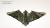 Nom du fichier=simplebat-bottom2.jpg
Taille du fichier=85Ko
Dimensions : 900x515
Ajouté le : 03 Novembre 2016 simplebat-bottom2.jpg