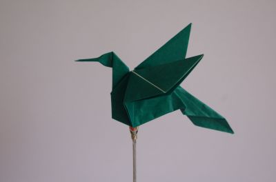 IMGP8634.JPG