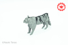 Nom du fichier=Tiger_-_Endangered.jpg
Taille du fichier=391Ko
Dimensions : 1500x996
Ajouté le : 14 Août 2021 Tiger_-_Endangered.jpg