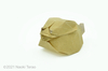 Nom du fichier=fang_s_puffer.jpg
Taille du fichier=454Ko
Dimensions : 1500x996
Ajouté le : 25 Septembre 2021 fang_s_puffer.jpg