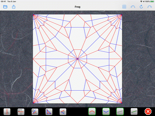 Frog-512x384~1.gif