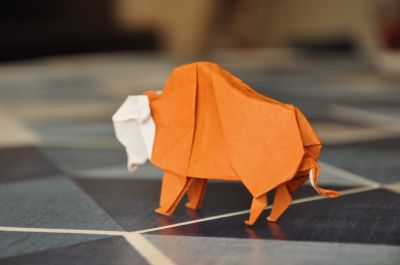 Bison_-_Arriere.jpg