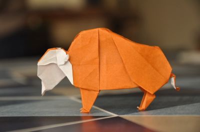 Bison_-_Profil.jpg